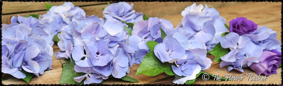 wedding bouquet hydrangea Button holes